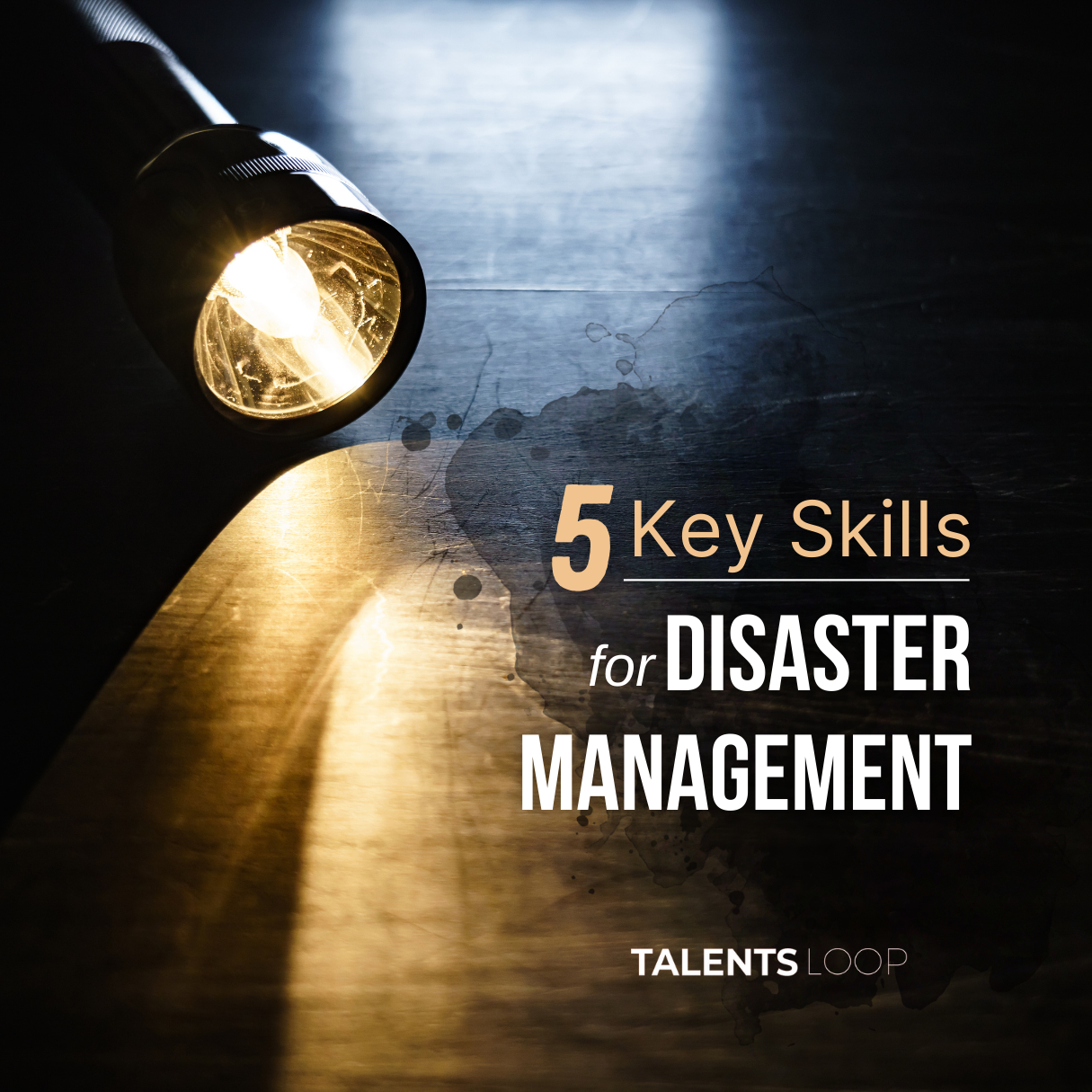 Developing key skills for DISASTER MANAGEMENT